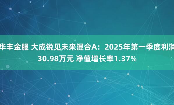 华丰金服 大成锐见未来混合A：2025年第一季度利润30.98万元 净值增长率1.37%