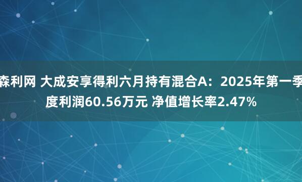 森利网 大成安享得利六月持有混合A：2025年第一季度利润60.56万元 净值增长率2.47%
