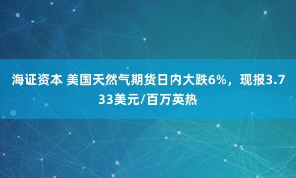 海证资本 美国天然气期货日内大跌6%，现报3.733美元/百万英热